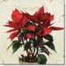 Sullivans Darren Gygi Poinsettia Canvas Museum Quality Giclee Print Gallery Wrapped Handcrafted in USA 14 W x 14 L Multicolored