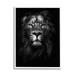 Stupell Industries King of the Jungle Lion In Shadows Black and White Photography 11 x 14 Design by Design Fabrikken