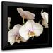 Poinski Dianne 12x12 Black Modern Framed Museum Art Print Titled - White Orchids 1