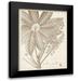 Vision Studio 12x14 Black Modern Framed Museum Art Print Titled - Sepia Exotic Plants V