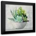 Purinton Julia 20x20 Black Modern Framed Museum Art Print Titled - Succulent Still Life II