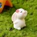 YUEHAO Home Decor Small Animal Cute Rabbit Gardening Succulents Resin Decorative Ornaments Desktop Ornament L