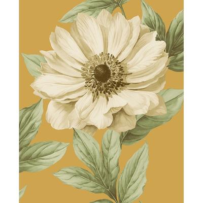 Seabrook Designs Damaris Floral Unpasted Wallpaper