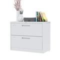 KAAYEE 2 Drawer Metal Lateral File Cabinet with Lock Steel Office Filing Cabinet for Legal/Letter A4 Size Wide File Cabinet for Office Home (White)