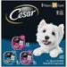 Cesar Small Breed Adult Beef Filets in Gravy Wet Dog Food Variety Pack 3.5 oz. Can Pack of 24