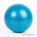 Anti-Pressure Explosion-Proof Yoga Exercise Gymnastics Pilates Yoga 25 CM Diameter Balance Ball Gym Home Training Ball Blue
