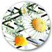 Designart Wild Spring Chamomile Flowers On Geometric Lines Traditional Circle Metal Wall Art 36x36 - Disc of 36