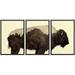 wall26 Framed Canvas Print Wall Art Set Double Exposure Buffalo with Mountains Animals Wilderness Photography Realism Zen Scenic Colorful Multicolor for Living Room Bedroom Office - 16 x24&quo