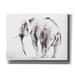 Epic Graffiti Lone Elephant Gray by Alan Majchrowicz Giclee Canvas Wall Art 16 x12