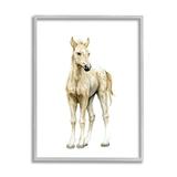 Stupell Industries Baby Horse Foal Watercolor Portrait Kids Nursery Animal 11 x 14 Design by Fox Hollow Studios