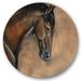 Designart Close Up Portrait Of A Brown Bay Horse Farmhouse Circle Metal Wall Art 23x23 - Disc of 23