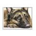 Stupell Industries Tired German Shepherd Dog Resting Head On Paw Painting White Framed Art Print Wall Art Design by George Dyachenko