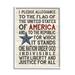 Stupell Industries Pledge of Allegiance Stars and Stripes Americana Rustic Wood Look Sign Graphic Art Framed Art Print Wall Art 16x20 By Jo Moulton