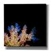 Epic Graffiti Coral Reef by Epic Portfolio Giclee Canvas Wall Art 37 x37