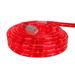 Northlight Seasonal 100ft Incandescent Outdoor Christmas Rope Lights in White | 1 H x 1200 W x 1 D in | Wayfair NORTHLIGHT YS90308