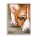 Stupell Industries Pleasant Corgi Puppy Dog Gazing Lying Down Painting Gray Framed Art Print Wall Art Design by George Dyachenko