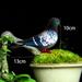 Fuwaxung Simulation Pigeon Model Foam Mini Artificial Imitation Bird Animal Home Garden Ornament Miniature Decoration Home Decor