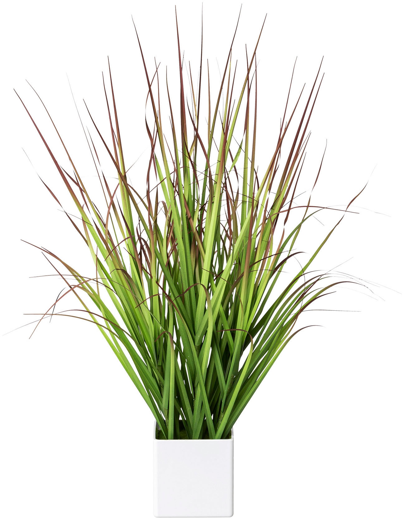 Kunstgras CREATIV GREEN "Blutgras", grün (grün, rot), B:15cm H:61cm, Kunststoff, Kunstpflanzen, im weißen Kunststofftopf