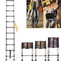 Telescopic Ladder 3.2M Extendable Loft Ladder Portable Folding Ladder Extendable, Anti-Slip Telescoping Ladder, Extension Ladder 11 Steps Multi Purpose Collapsible Ladder, Max Load 150kg (3.2M/10.5FT)