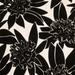 D.V. Kap Maui Fabric in Black/White | 54 W in | Wayfair 2006-YARD