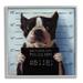 Stupell Industries Funny Boston Terrier Dog Jail Convicted Police By Lucia Heffernan in Blue | 17 H x 17 W x 1.5 D in | Wayfair al-846_gff_17x17