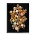 Stupell Industries Beached Balls Stretched Canvas Wall Art by Barry Rosenthal in Brown | 20 H x 16 W x 1.5 D in | Wayfair al-981_fr_16x20