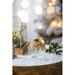 The Holiday Aisle® Beaded Top Glass Ball Ornament Glass in White/Yellow | 3.1 H x 3.1 W x 3.1 D in | Wayfair 5486FF5EBED641399A98BE2AA6634B93
