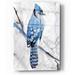 Red Barrel Studio® "Blue Jay 1" By Stellar Design Studio, Acrylic Glass Wall Art Plastic/Acrylic | 16 H x 12 W x 0.13 D in | Wayfair