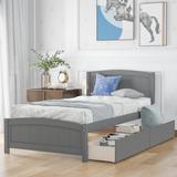 Minimalistic Twin Wood Platform Bed with 2 Drawers Under-bed Storage&Headboard