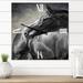 Designart 'Portrait Of A Black Horse' Farmhouse wall clock