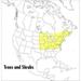 Pre-Owned A Peterson Field Guide to Trees and Shrubs : Northeastern and North-Central United States and Southeastern and South-centralCanada 9780395353707