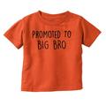 Promoted to Big Brother Announcement Youth T Shirt Tee Boys Infant Toddler Brisco Brands 12M