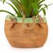 August Grove® Advitha Clay Pot Planter Clay & Terracotta | 4.7 H x 3.1 W x 6.2 D in | Wayfair 7DC378177B9B4EF98F092665A3979631