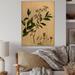 August Grove® Vintage Plant Life V - Unframed Painting on Wood in White | 36 H x 24 W x 1 D in | Wayfair F245DBF9D6DD48A5B1E5D29A5EEA2928