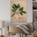 August Grove® Vintage Botanicals II - Unframed Painting on Wood Metal in Brown/Green | 32 H x 16 W x 1 D in | Wayfair