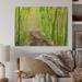 Bay Isle Home™ Green Bamboo Forest - Unframed Graphic Art on Wood in Brown/Gray/Green | 12 H x 20 W x 1 D in | Wayfair