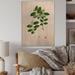 August Grove® Vintage Plant Life XIX - Unframed Graphic Art on Wood in Brown/Green | 12 H x 8 W x 1 D in | Wayfair 5F2A29DDD15D4FF38E2AB59D47291BFE