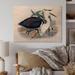 Highland Dunes Vintage Birds of Australia - Unframed Painting on Wood Metal in Black/Brown | 16 H x 32 W x 1 D in | Wayfair