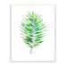 Stupell Industries Minimal Green Palm Tropical Plant over White Wall Plaque 13 x 19 Design by Melissa Hyatt LLC
