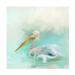 Jai Johnson The White Pelican Canvas Art