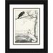 Arthur Rackham 18x24 Black Ornate Framed Double Matted Museum Art Print Titled: The Fox and the Crow (1912)