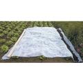 Voile d'hivernage blanc 60g-m2 Werka Pro 1 x 25m