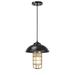 Aspen Creative 61094 Adjustable One-Light Hanging Mini Pendant Ceiling Light Transitional Design in Matte Black Finish Frosted Glass Shade 3 3/8 Wide