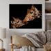 Ebern Designs Portrait Of Two Giraffes Kissing II - Farmhouse Wood Wall Art Panels - Natural Pine Wood in Black/Brown | 8 H x 12 W x 1 D in | Wayfair