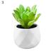 Easy to Maintain Artificial Potted White Ceramic Potted Mini Modern Decoration Artificial Succulent Potted for Home