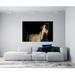 Artful Printers White Stallion Horse Sunset - Unframed Photograph Plastic/Acrylic in Black/White | 16 H x 20 W x 1 D in | Wayfair AC-16203608