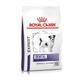 3.5kg Dental Special Small Dog Royal Canin Veterinary Diet Dry Dog Food