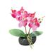 Artificial Orchid Flower Stem Plants Real Touch White Simulation Butterfly Phalaenopsis Flowers Fake Flower Simulation for Home Office Decor Home Wedding Party Decoration