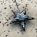 Anthropologie Holiday | Anthropologie-Party Lights Star Ornament | Color: Black/Gold | Size: Os