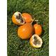 Passionfruit granadilla X10 - Exotic fruit - Fresh from Colombia